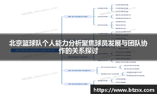 北京篮球队个人能力分析聚焦球员发展与团队协作的关系探讨