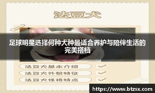 足球明星选择何种犬种最适合养护与陪伴生活的完美搭档